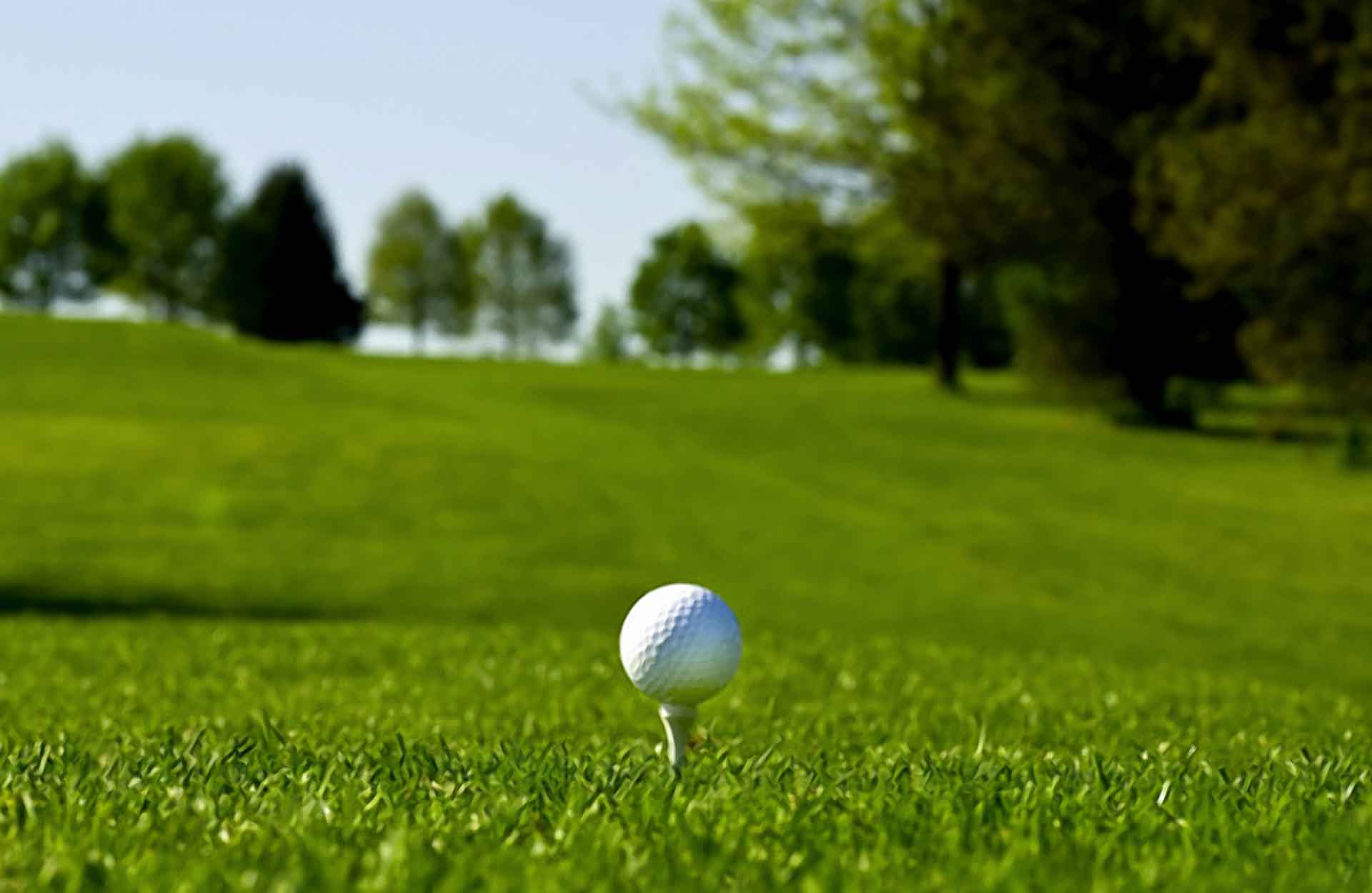 Wikingerhof Golfen Wikingerhof Golfen